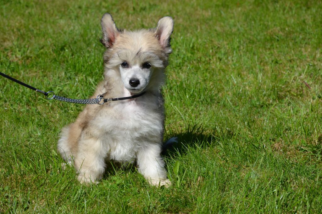 De La Mahafu's KG Matteus