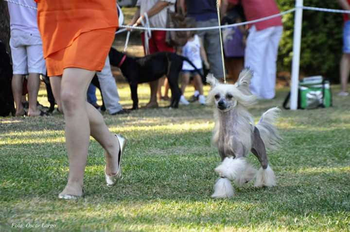 CH.Bella da Casa Algarvia