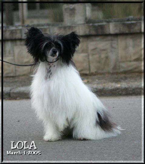 Khafka's Couch Potato