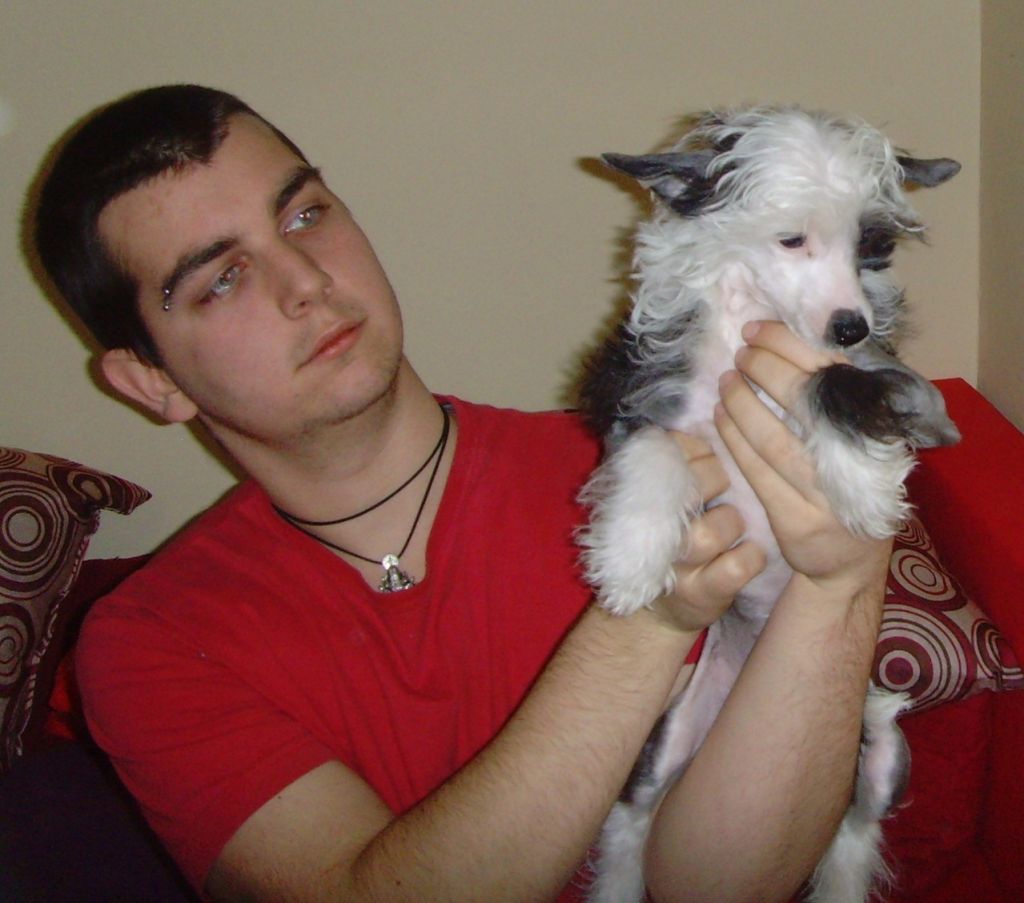 Picture