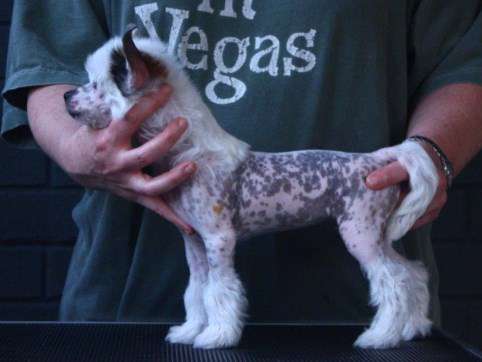 Belews Party Naked At Heartworks