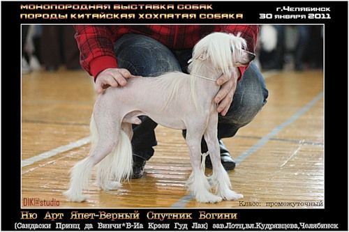 Nyu Art  Yapet Vernyi Sputnik Bogini