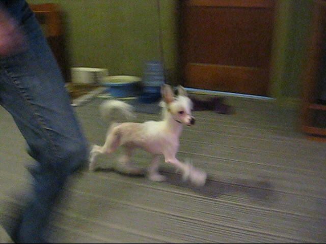 Tapscott's Comin Out Smokin