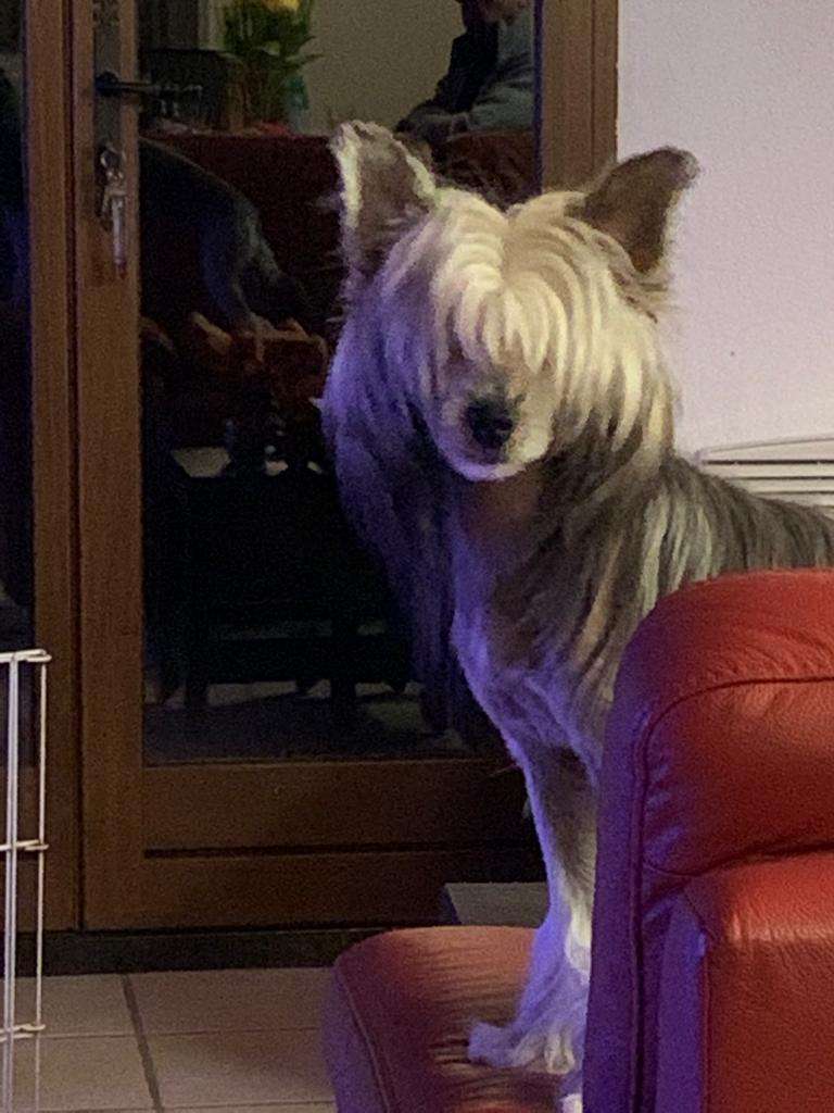 Il était Une Fois Special Edition