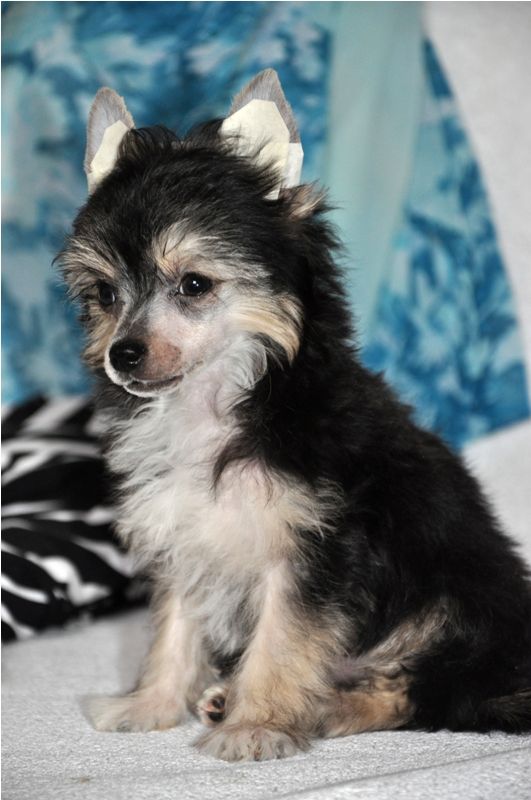 Elfgrace Olivera Oygun