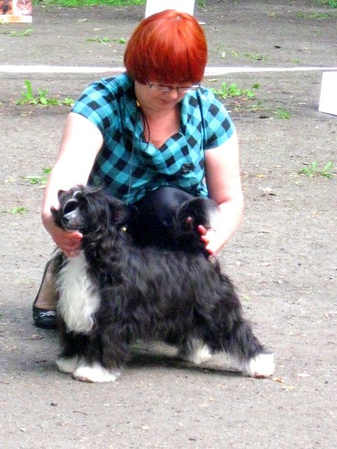 Picture
