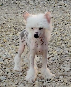 Caja Luna von der Sturmhoehe