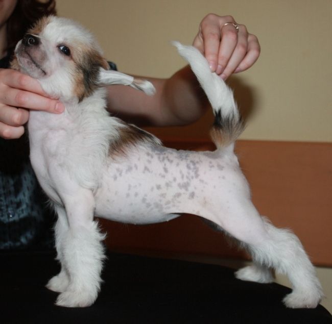 Titulovahaja Osoba  Helen Hope 's