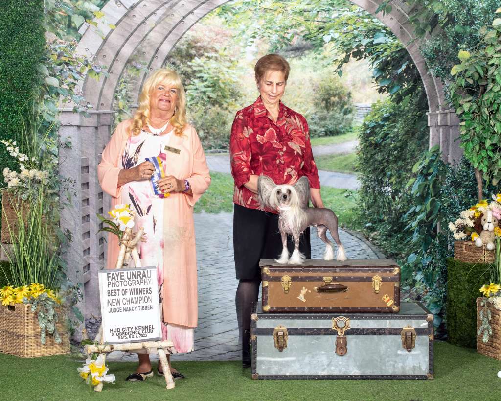 WillowGlyn Twinkle Little Star