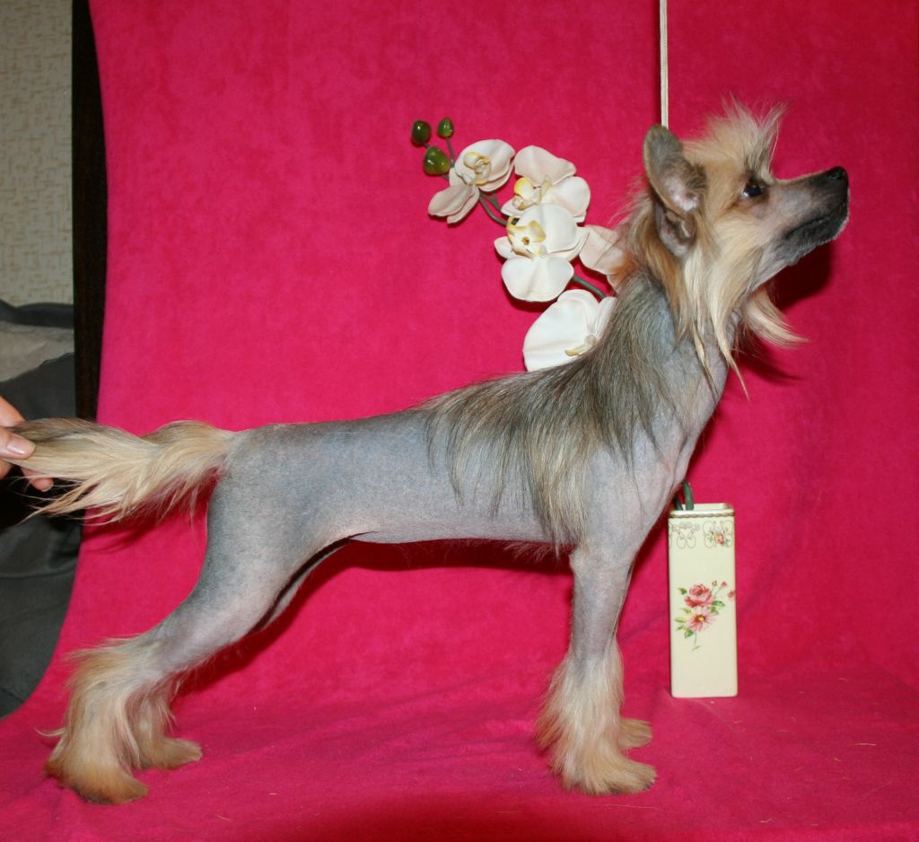 Rus Lorens Teri Hatcher