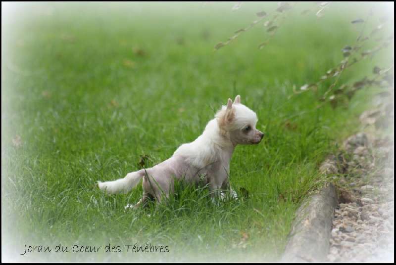 Jour De Chance Du Coeur Des Tenebres