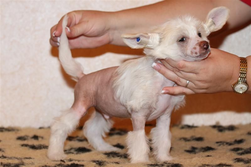 Worldshow Ezhi Mario