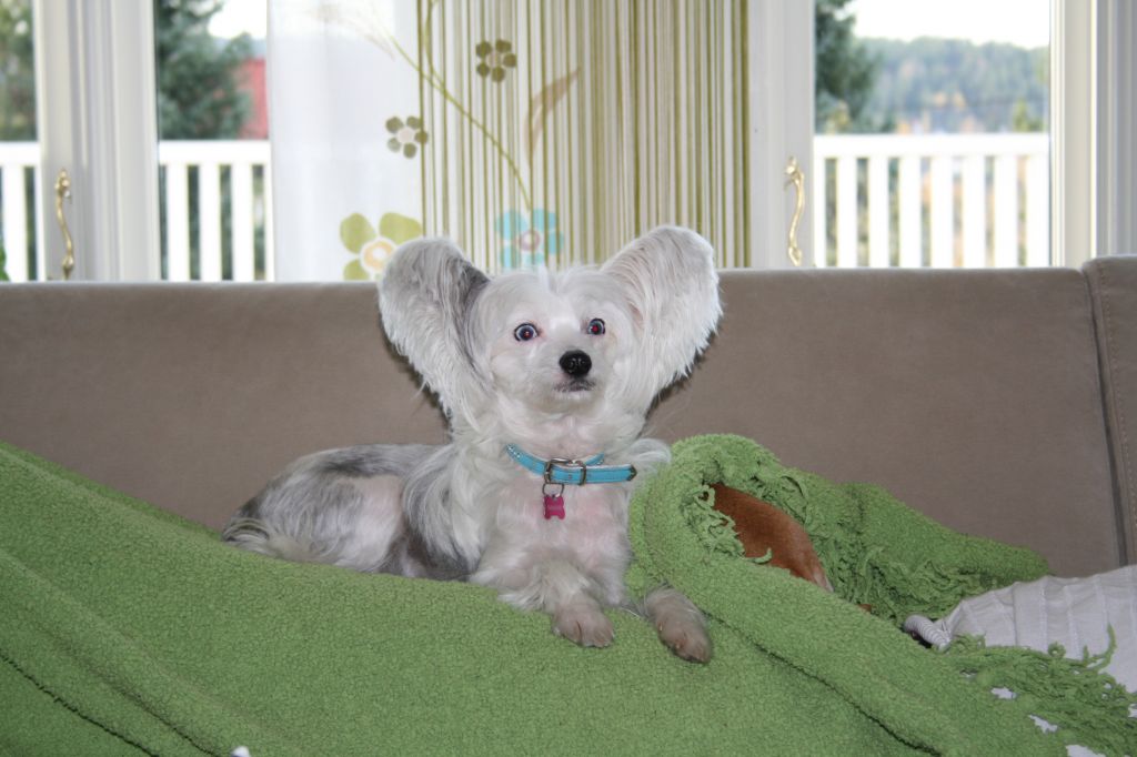 Marachinos Girl Power Only