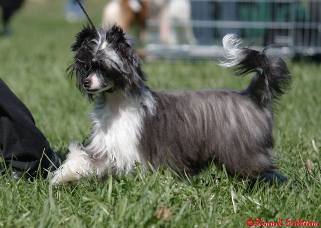 Chattanooga's Love To Share