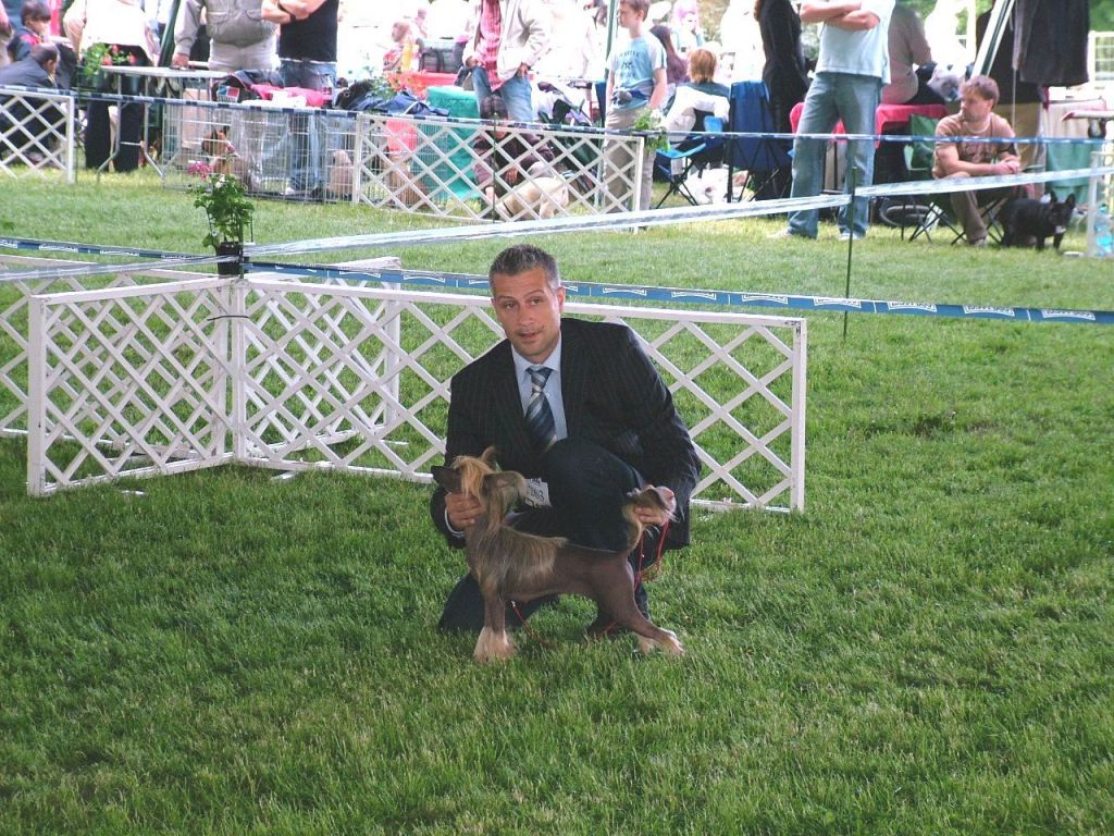 Picture