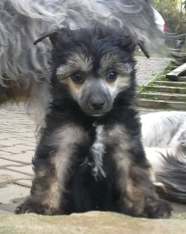 Picture