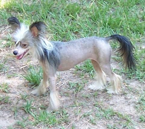 Mosaic's Look Me In The Eyez