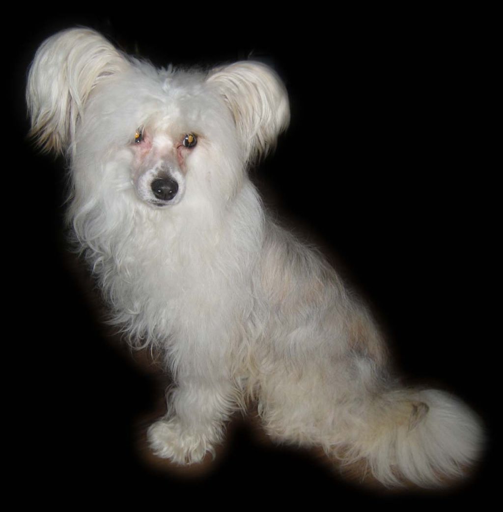 Edelweiss Nataki Fanrock