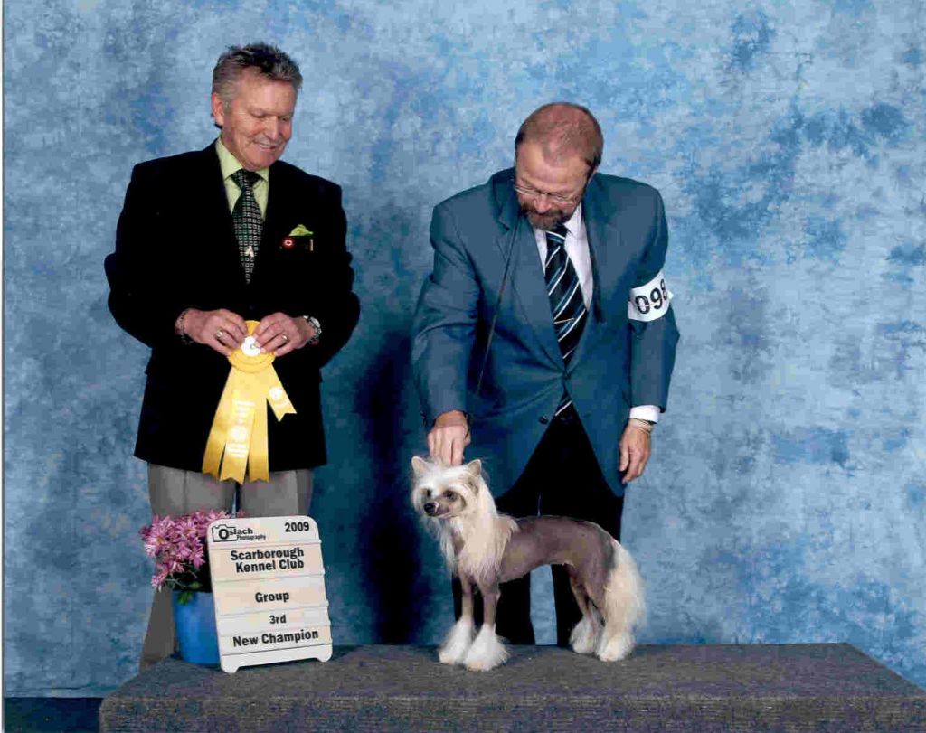 Crest-Vue What Dreams R Made Of