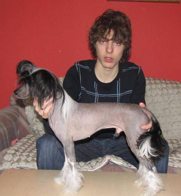 Nu Poils Kash The Speedy Crest