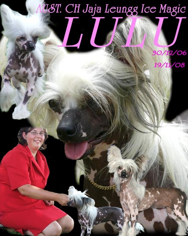 Jaja Leunng Ice Magic