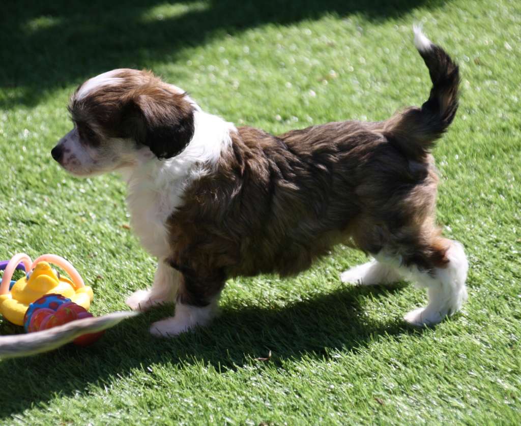 Testify To Love of Angel's Legacy