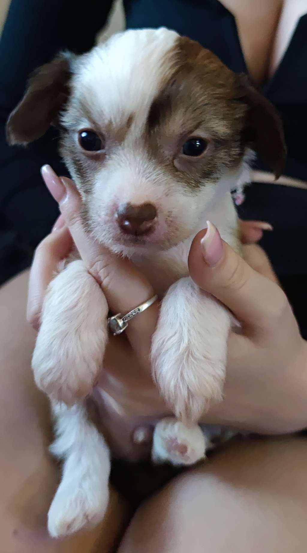 Beautycrest's Almost Naked