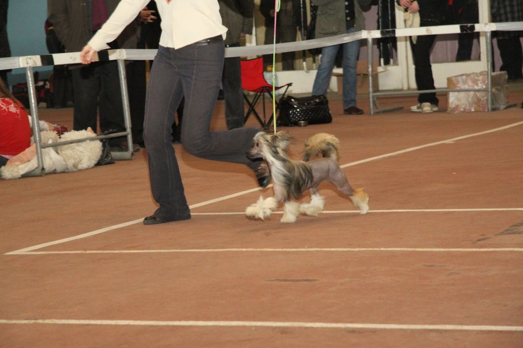 Irgen Gold  Bonni Got'e 