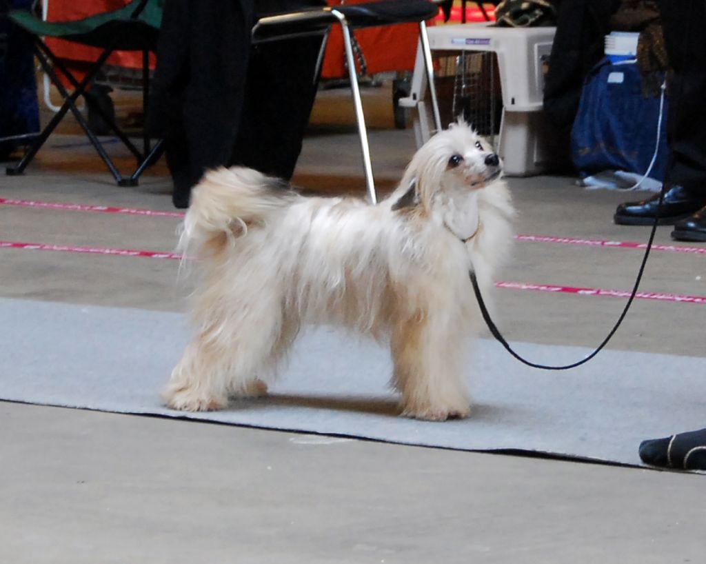 Tournais Salt N'pepper