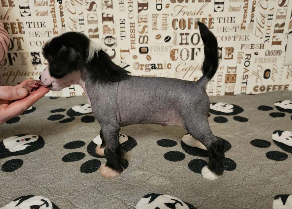 Pinky Twinky All Eyes On You