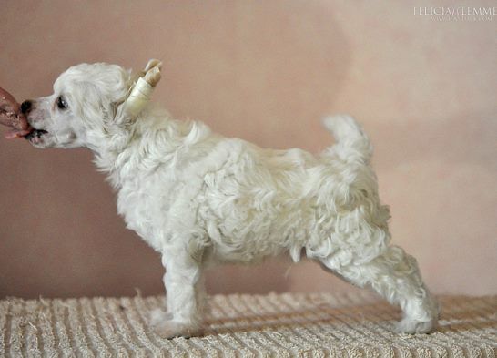 Jean Dark Always On My Mind