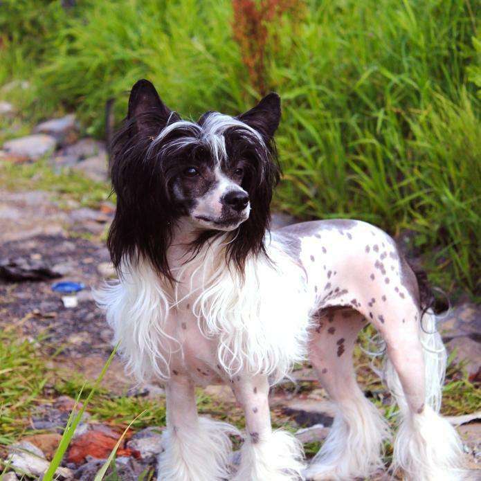 Lina'S Beauty Caroline