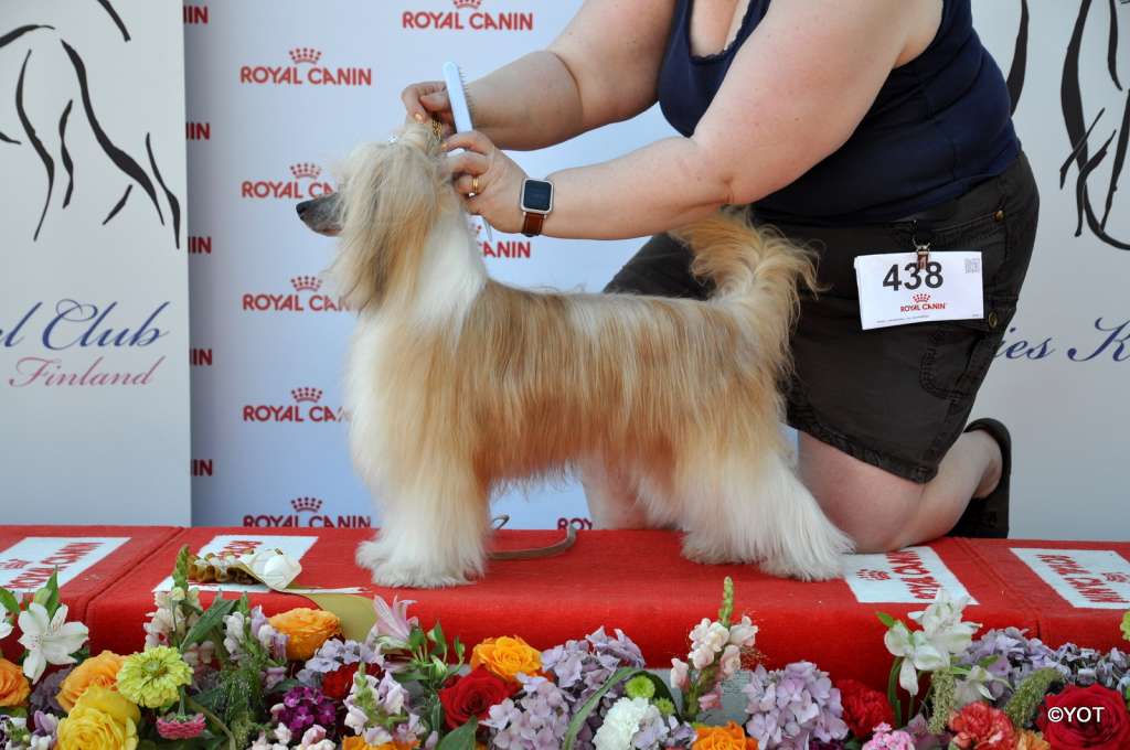 Xtra Bold Comic Sans