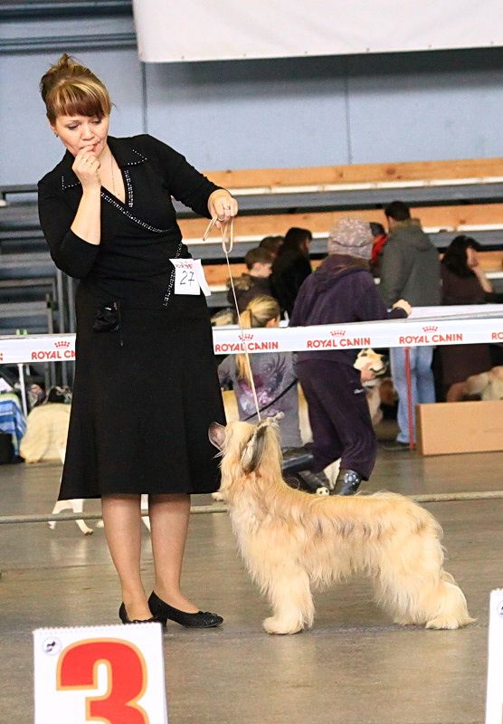 Irgen Gold  Danny DeVito