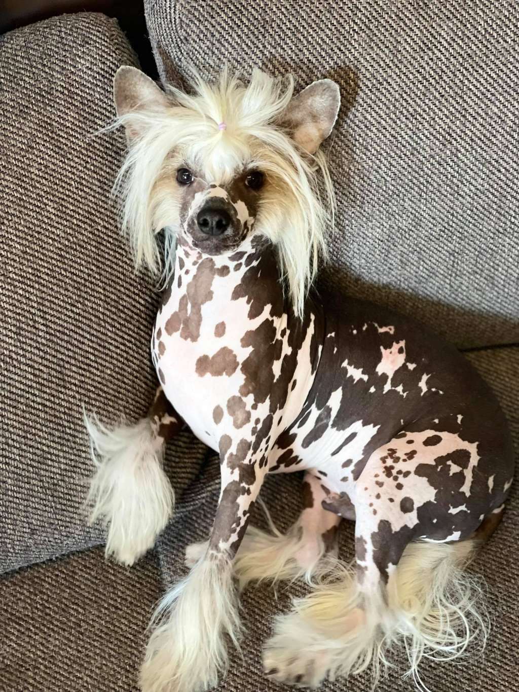 Fundoklia-völgyi Kaszanics Sullyvan