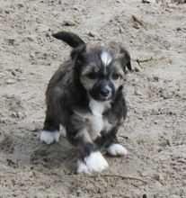 Feeling Top Model De Rama