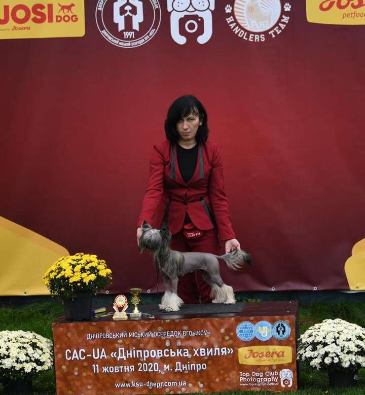 Darleen Edith Furswood