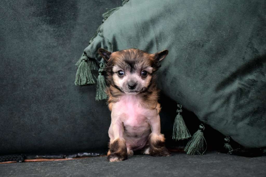 Rosalind Franklin de Lybóriu's Legacy