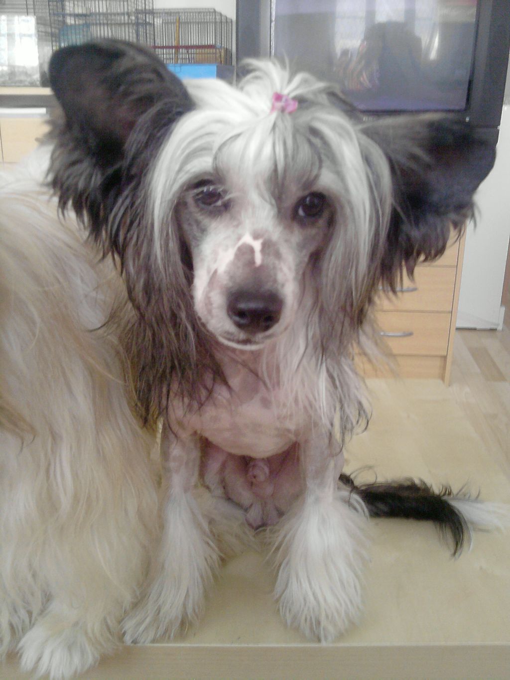 Fernet Branca Roztocka Hvezda