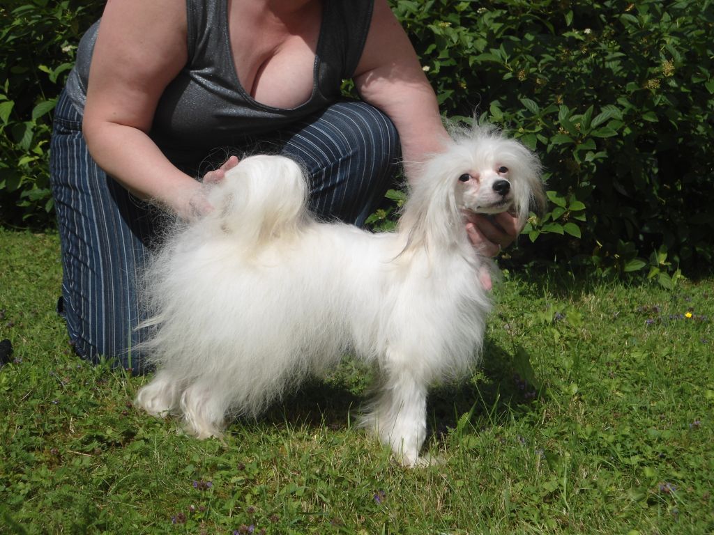 Jaecki von Hellmundin