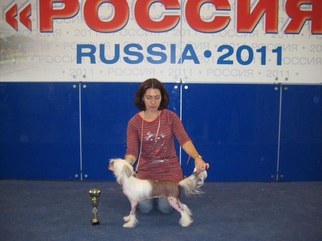 Picture