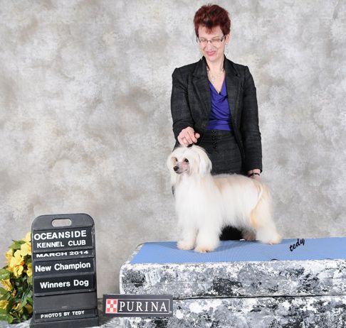 Whispering :Lane When We Stand Together