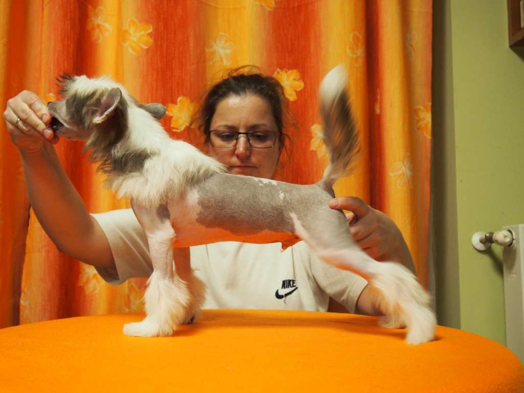 Kevin Costner Di Rabozi