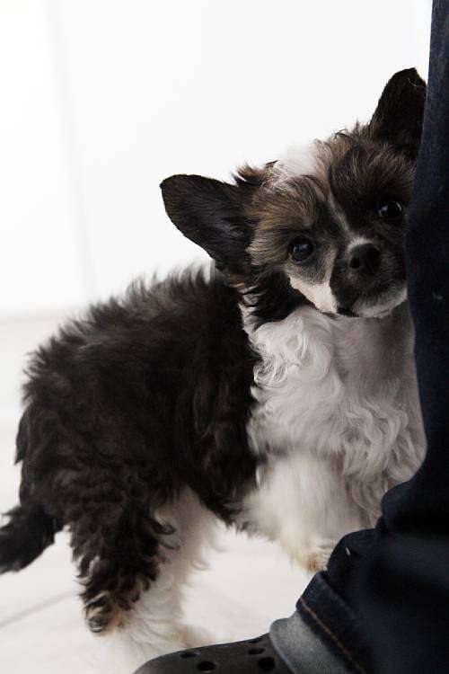 Tinted's Its A Sign!