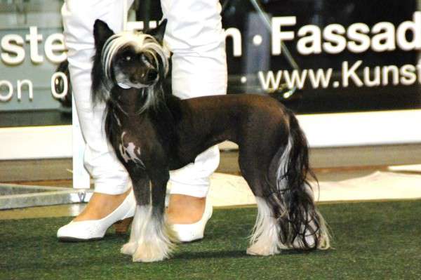 Daria vom Eifeldiamant