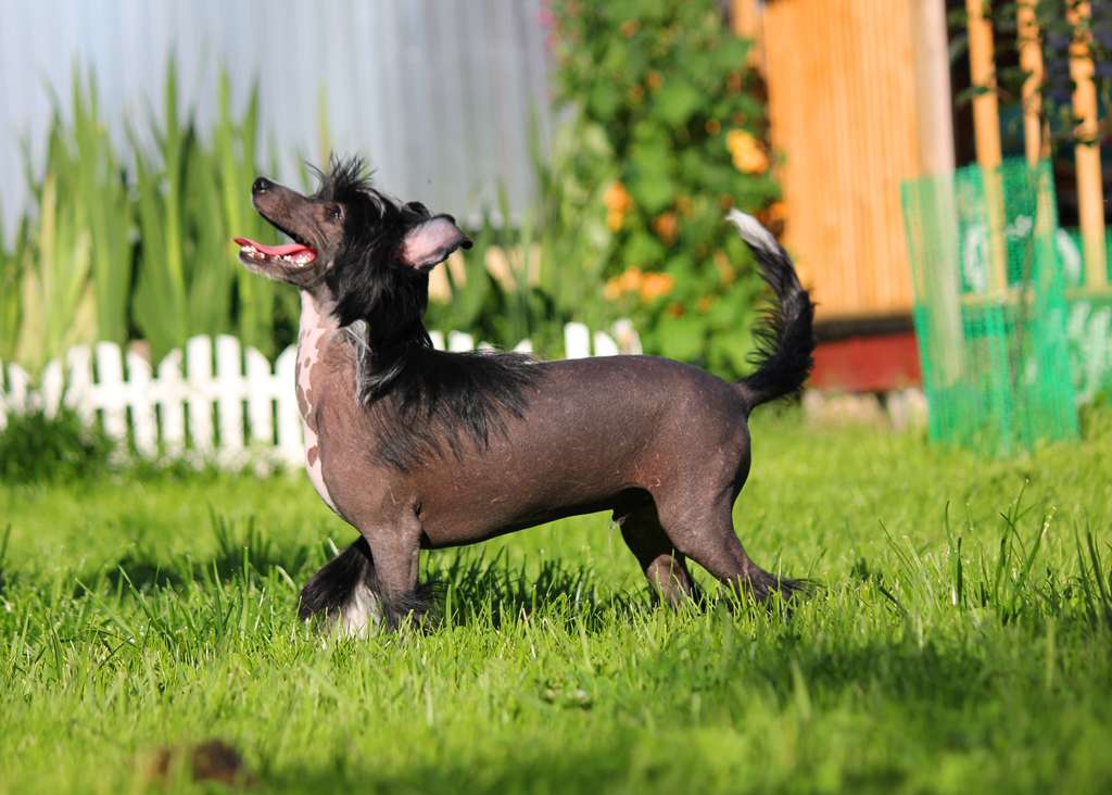 Uzh   Takoi   Rastakoi   dlya   Liris