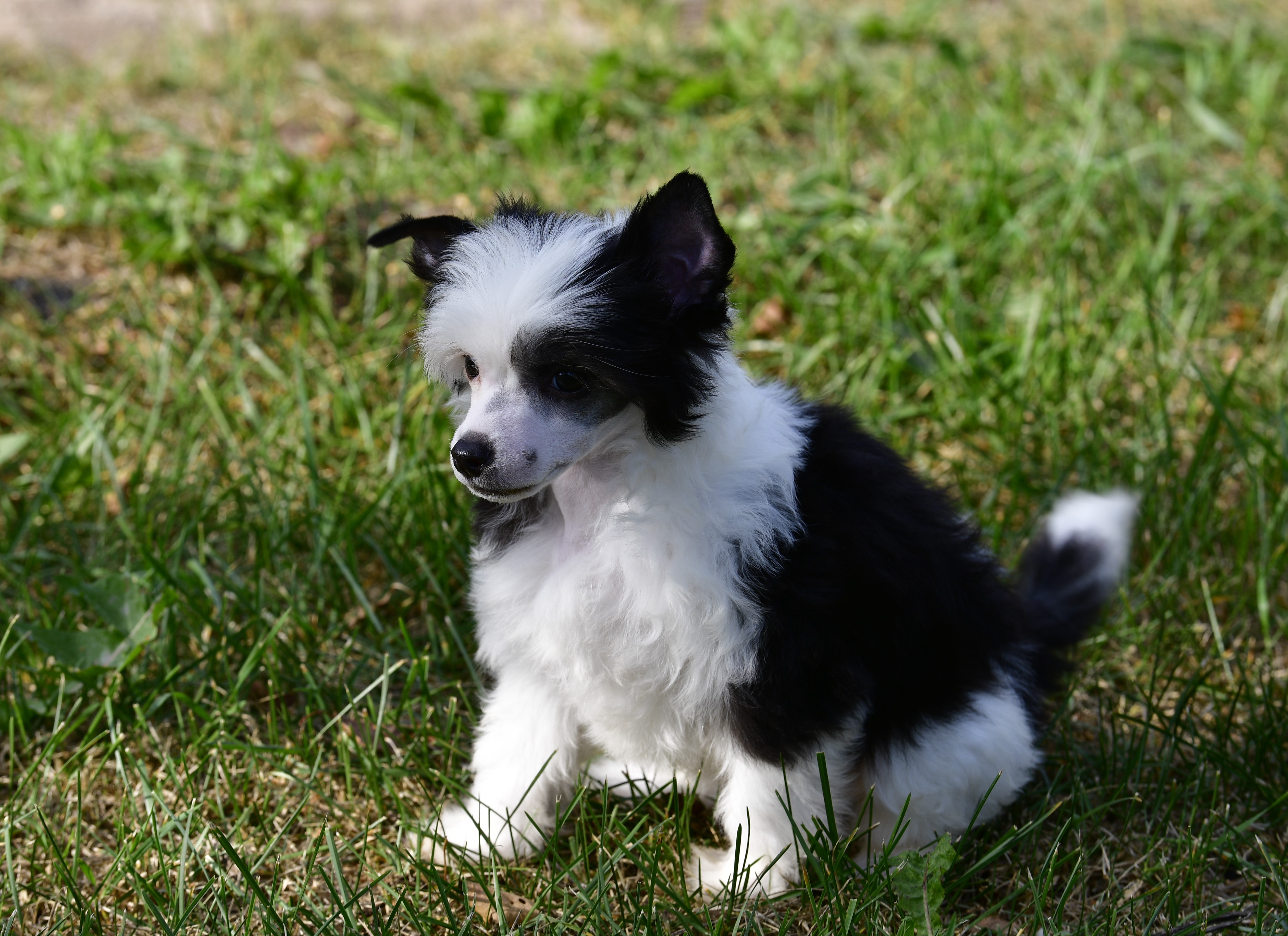 Picture
