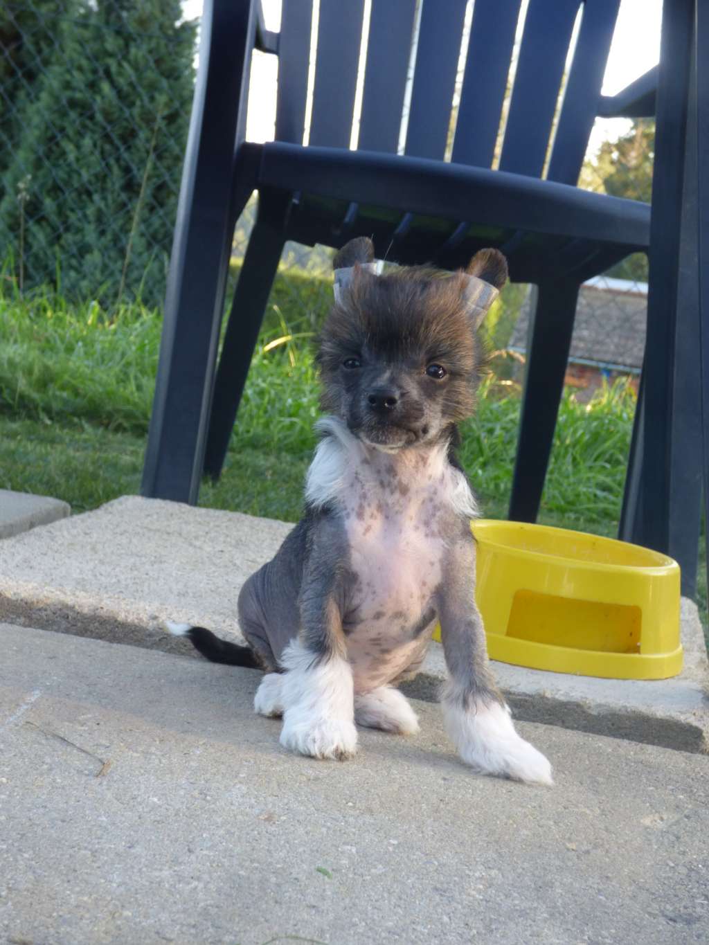 Jasper z Jestrebiho kralovstvi