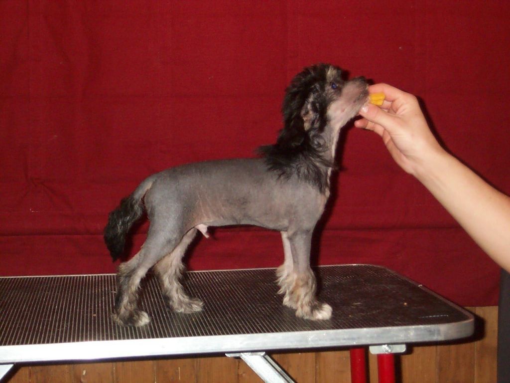 Habiba Take By Storm