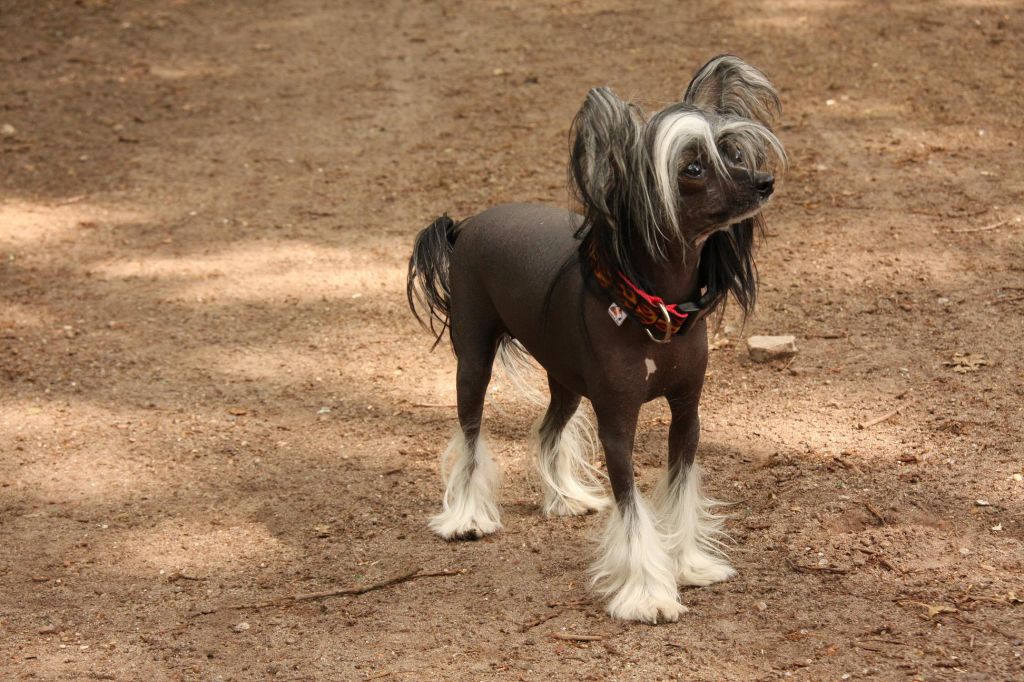 Be Happy of Little twinkling Stars